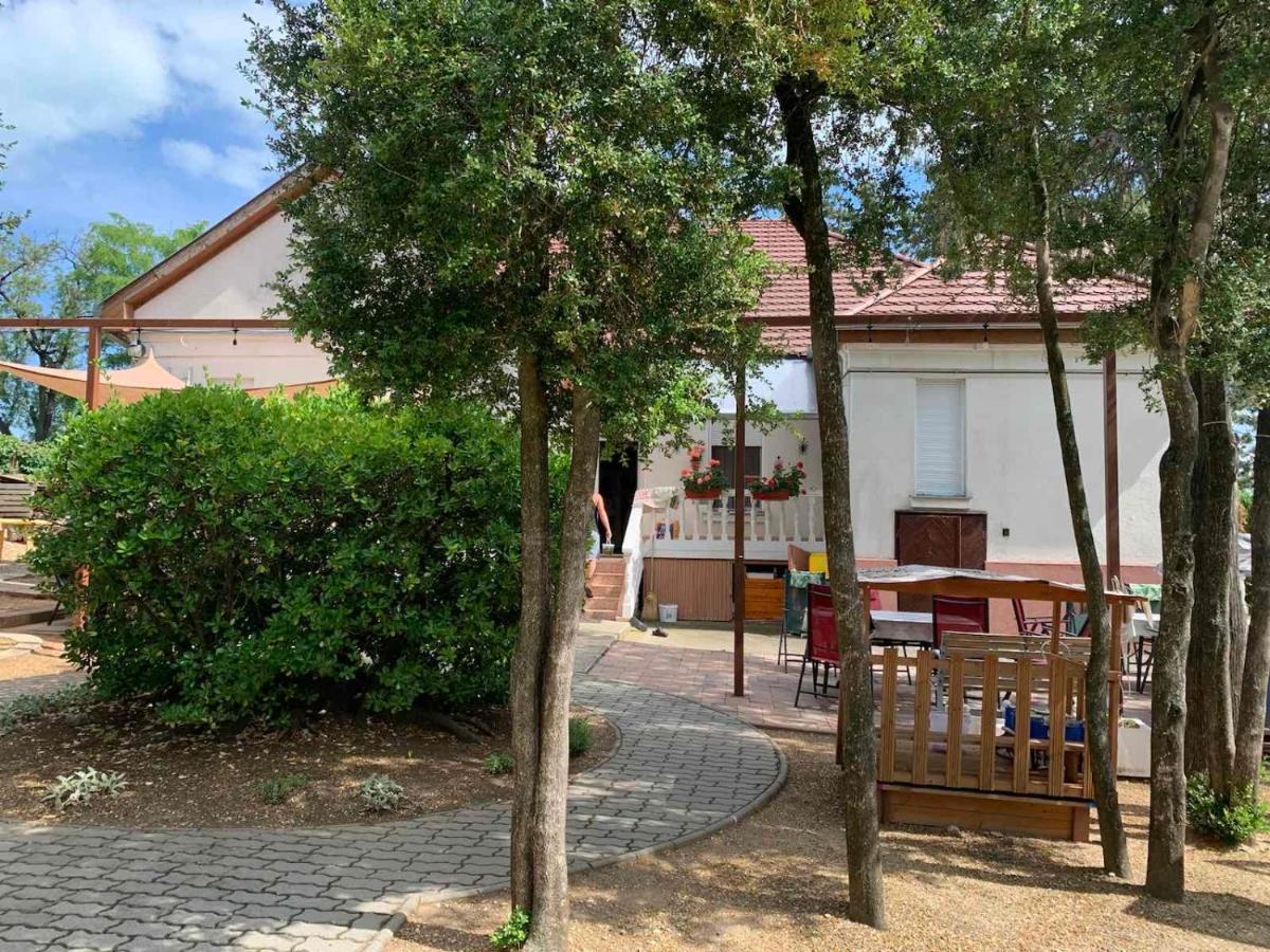 Edit Villa Balatonfured Bagian luar foto